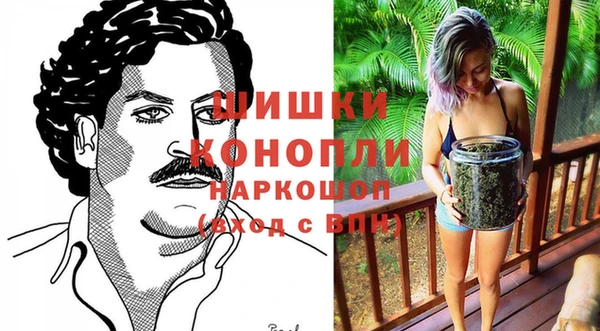 мдпв Елабуга