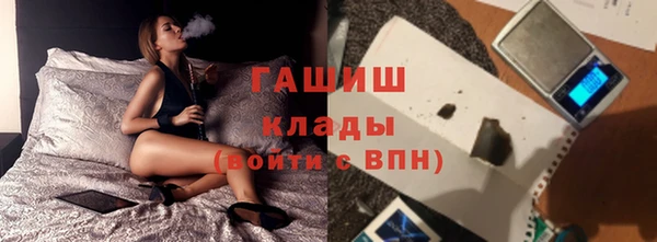 мдпв Елабуга