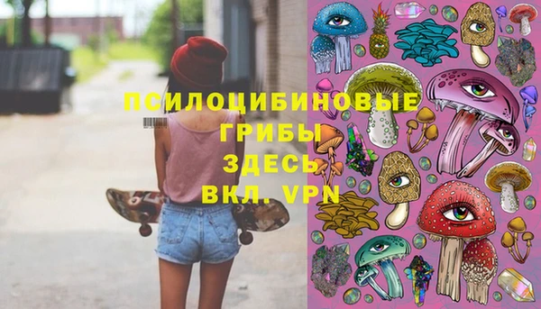 apvp Ельня