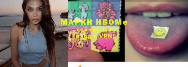 мдпв Елабуга