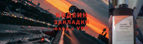apvp Ельня