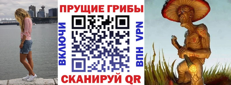 Псилоцибиновые грибы Psilocybe  Зеленодольск 